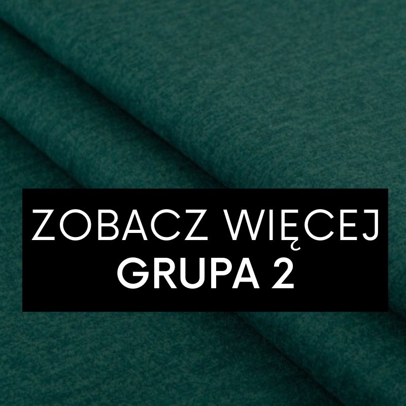 ZOBACZ WIĘCEJ - 2 gr.jpg